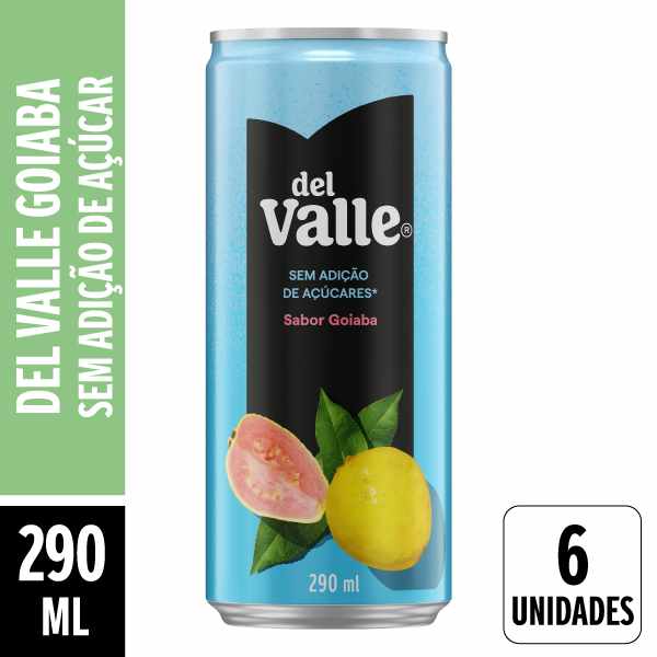 Suco Del Valle Nectar Goiaba 290ml Pack 6 Unidades